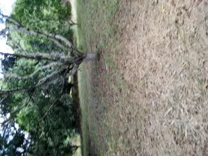 18 Acres for Sale at Kibaha Mlandizi