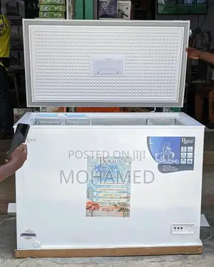 Roch Freezer/Friza 300