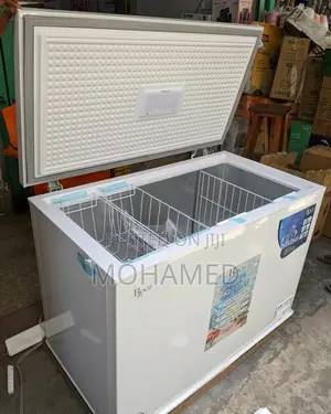 Roch Freezer/Friza 300