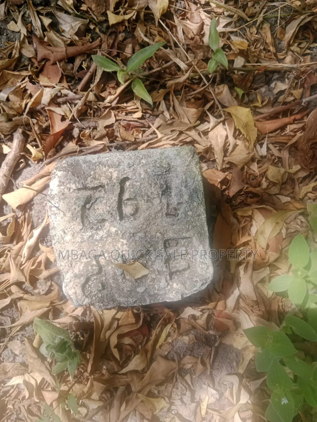 Plot for Sale at Madale Msigani