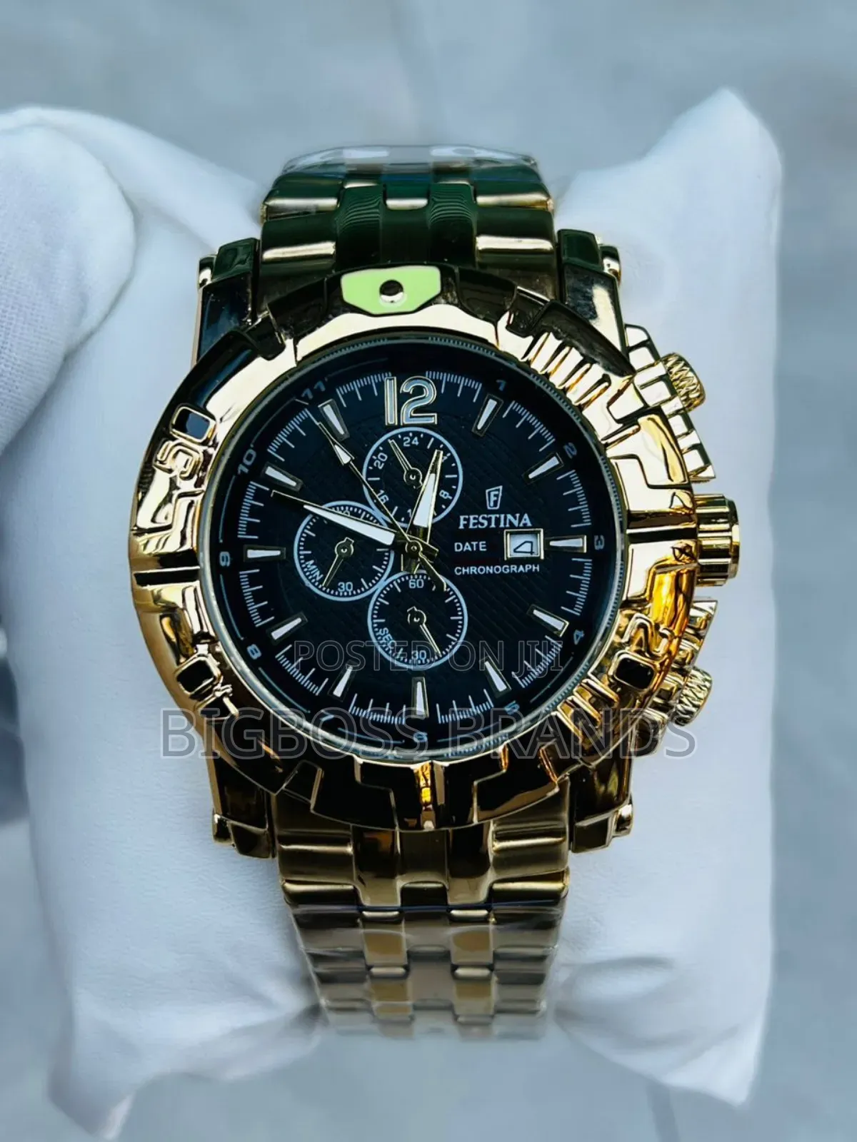 Festina Watch