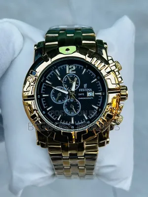 Festina Watch