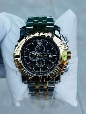 Festina Watch