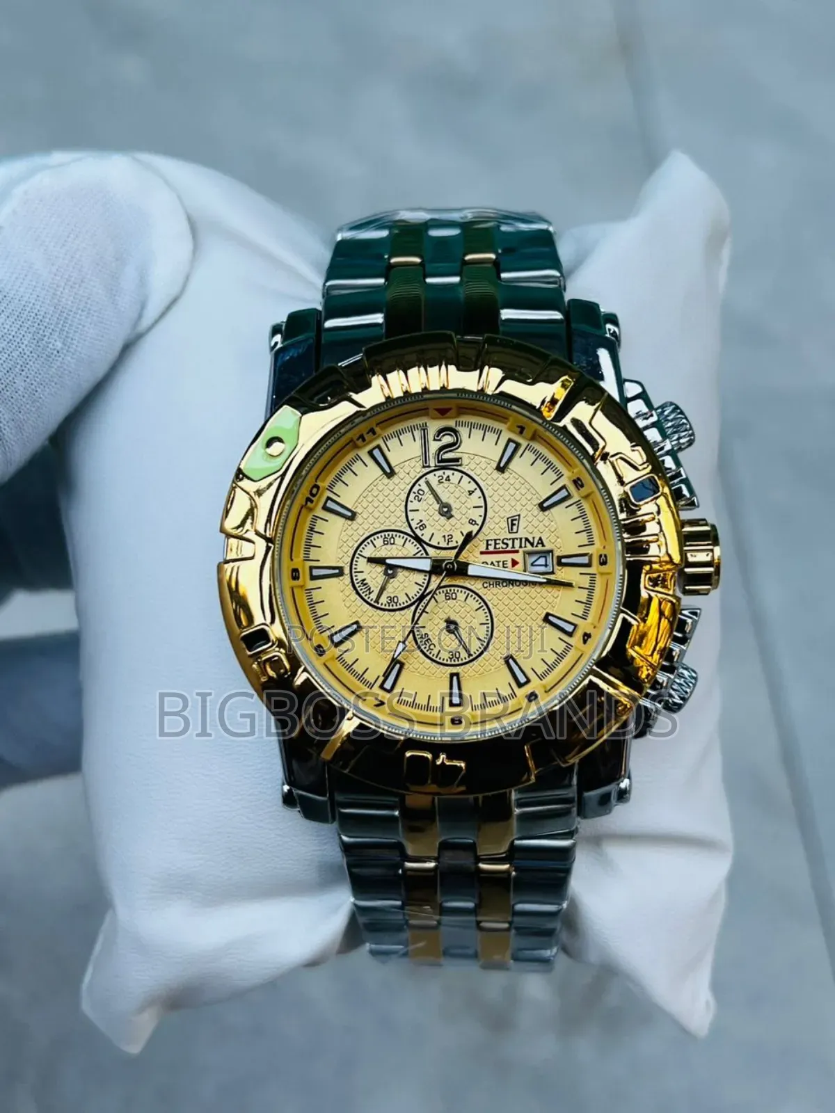 Festina Watch