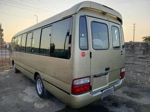 Toyota Coaster 2002 Beige