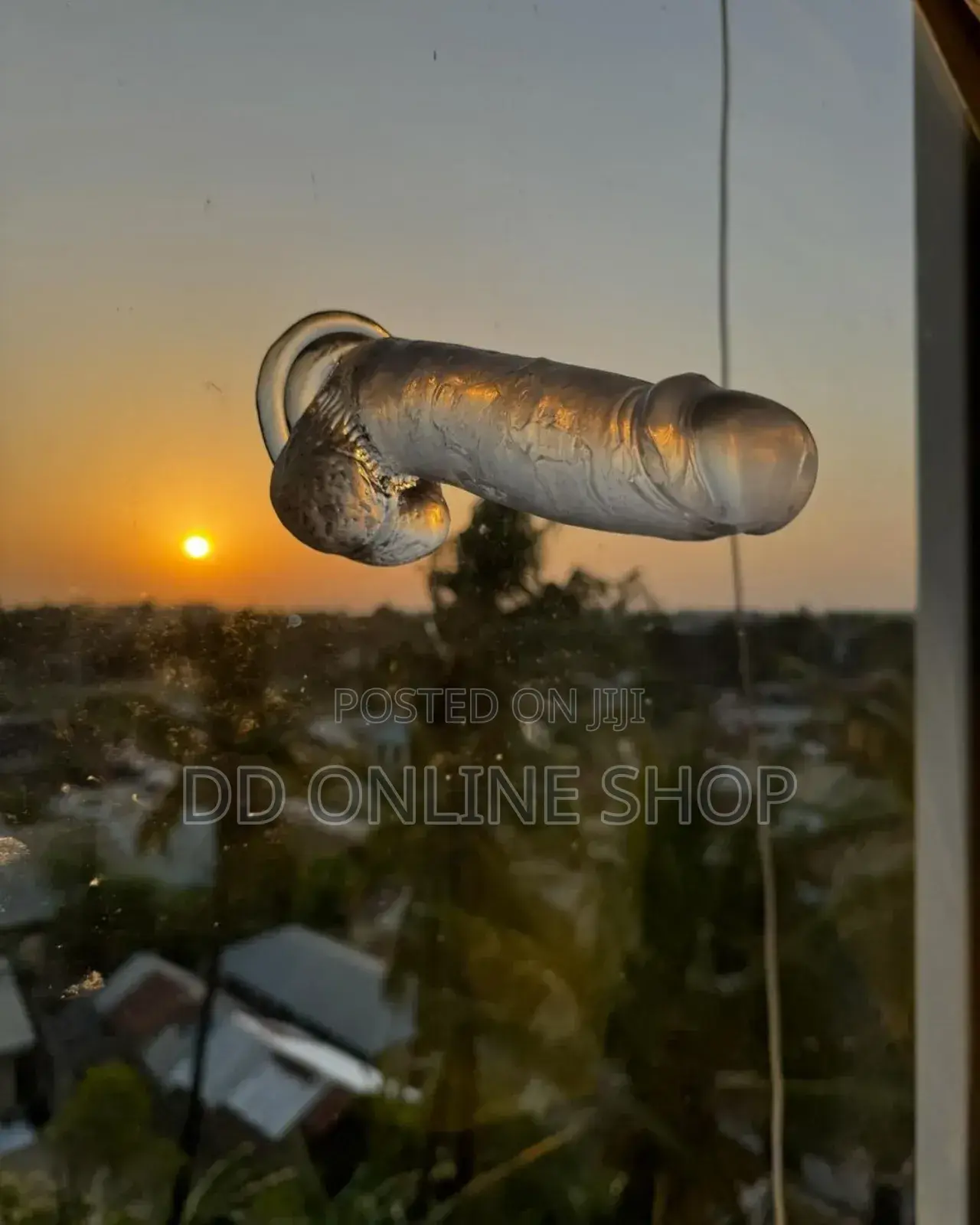 Dildo for Women All Size.