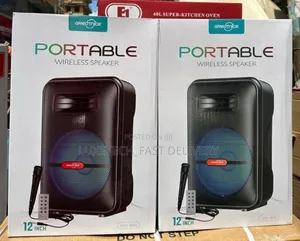 Wireless Portable Speaker 12 Inch | Spika Ya Matangazo