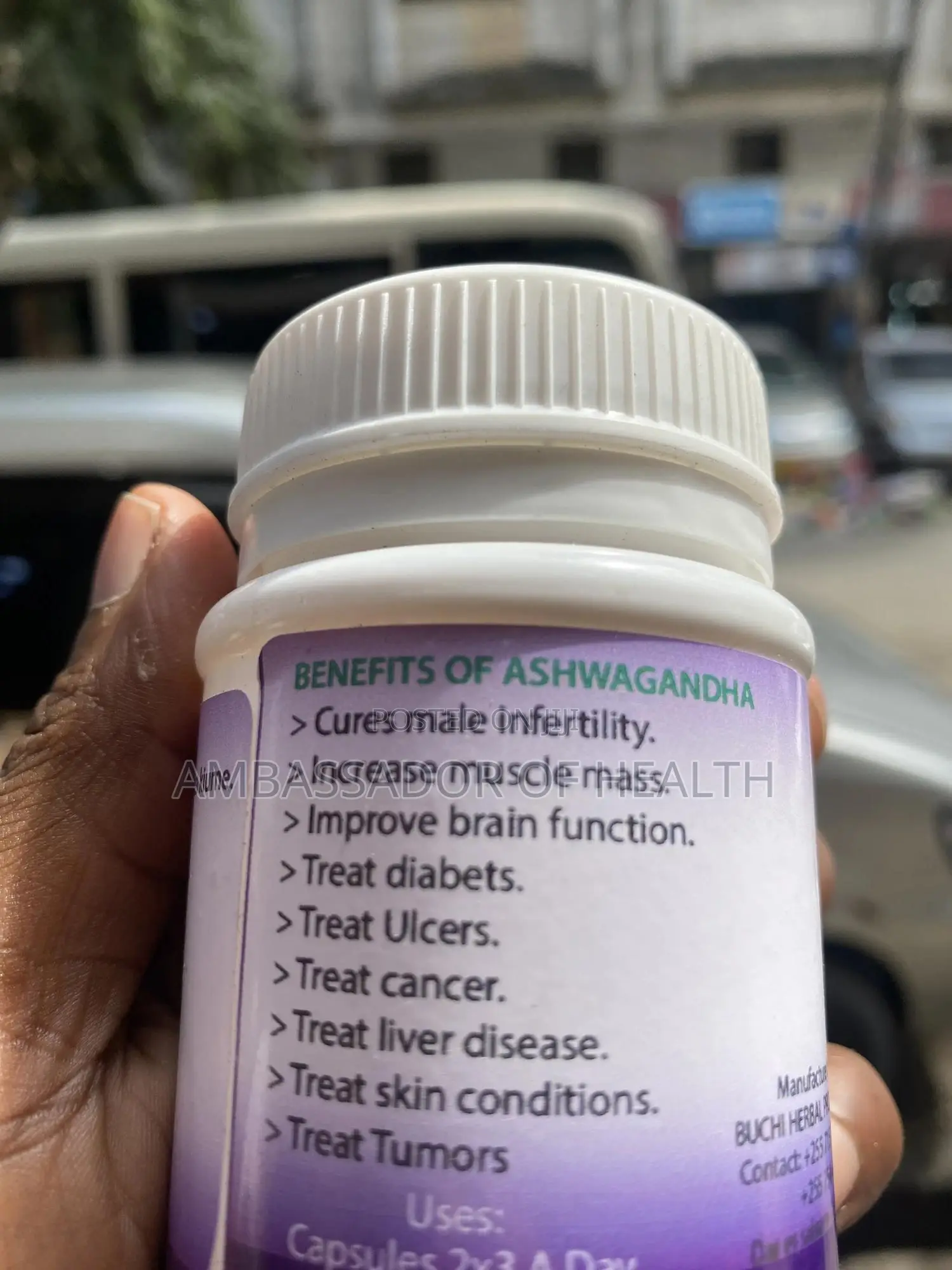 Ashwaganda Cure Male Infertility and Improve Brain Function