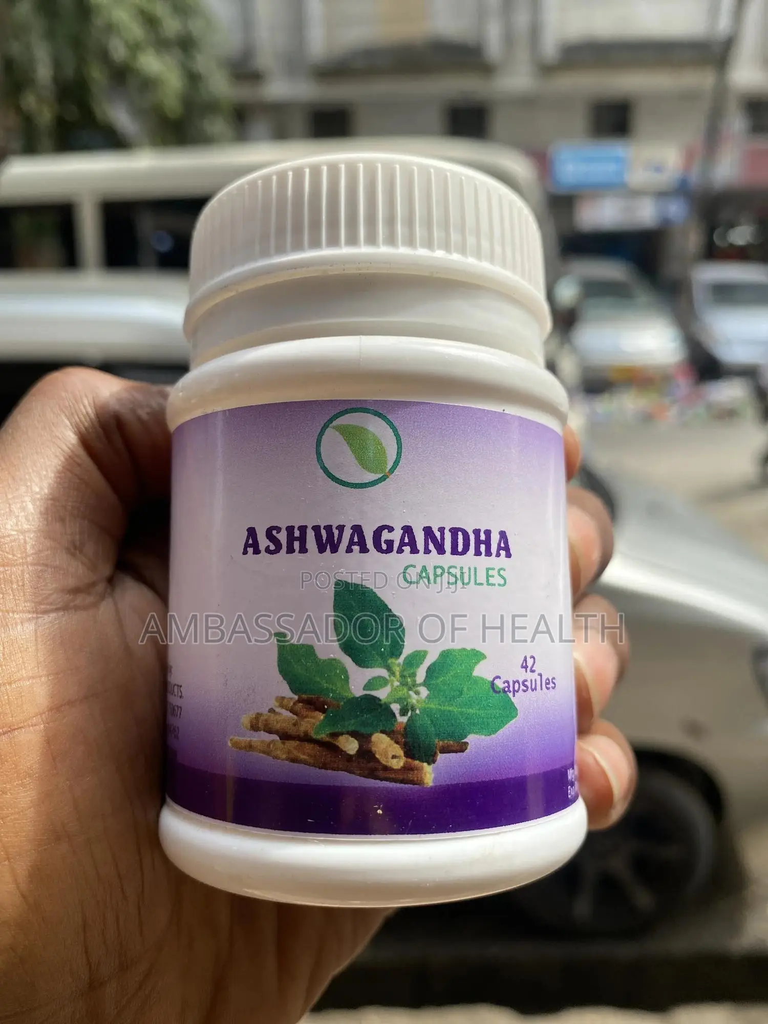 Ashwaganda Cure Male Infertility and Improve Brain Function