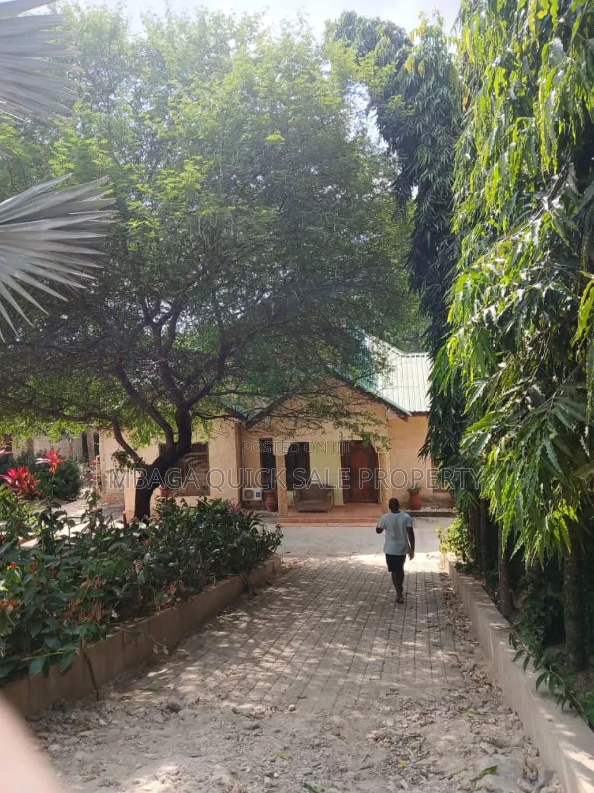 4bdrm House in Salasala Kilimahewa, Mbezi for rent