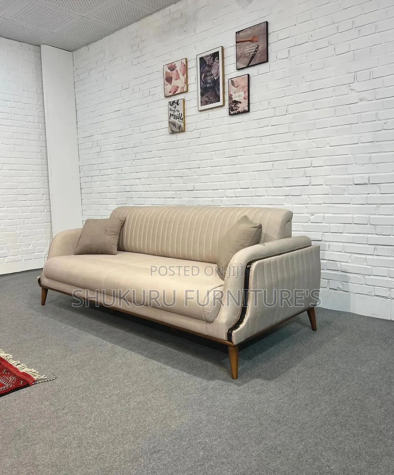 Simple Design Sofa