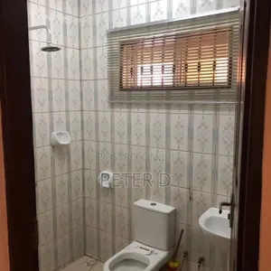 2bdrm Apartment in Mikocheni for rent
