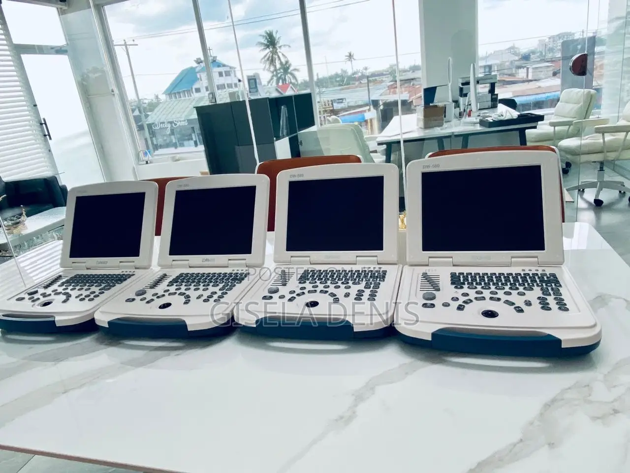 Portable Ultrasound Machine With Probe