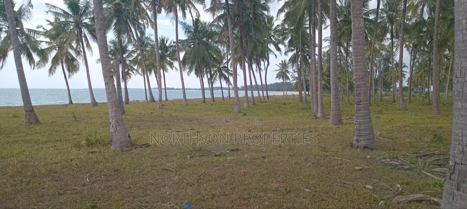 Beautiful Beach Gezaulole Kigamboni