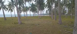 Beautiful Beach Gezaulole Kigamboni