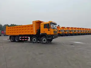 Ready to Order From China Used SHACMAN 8x4 Dump Truck