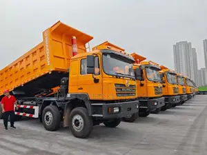 Ready to Order From China Used SHACMAN 8x4 Dump Truck