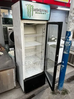 Display Fridge Lita 380