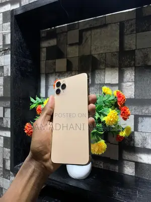 Apple iPhone 11 Pro Max 64 GB Gold