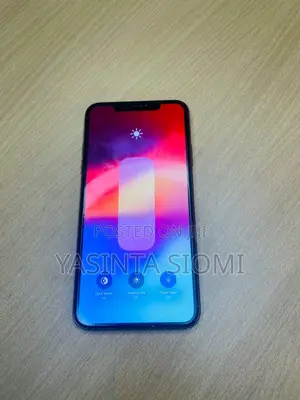 Apple iPhone 11 Pro Max 256 GB Gray