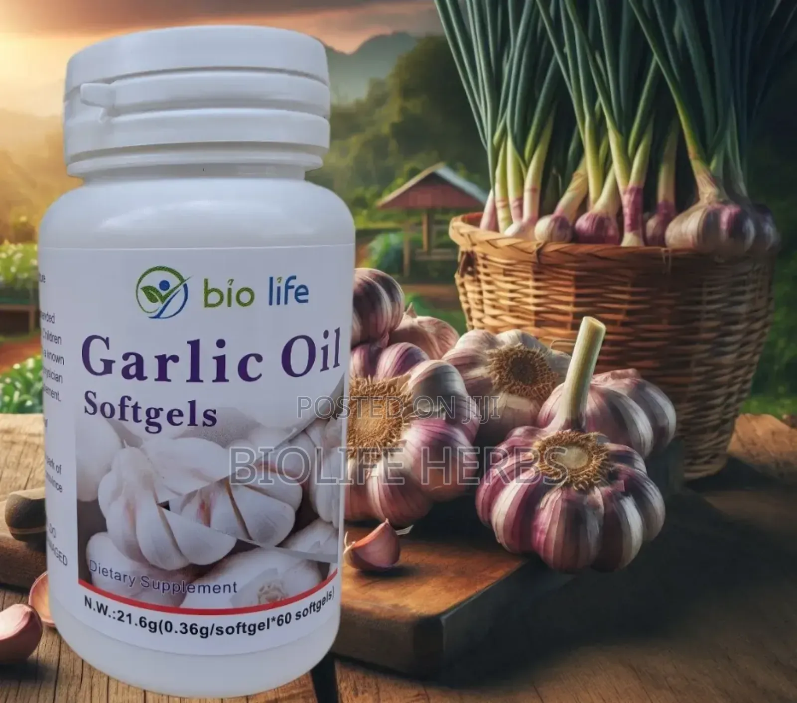 Garlic Oil Capsules