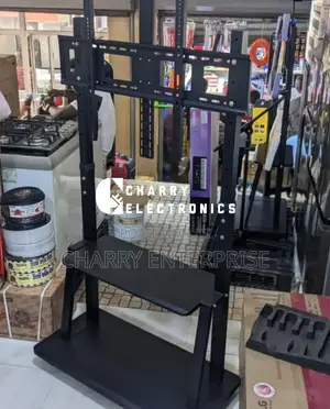 Metal Movable Tv Floor Mount/Stand Heavy Duty 50 to 100 Inch