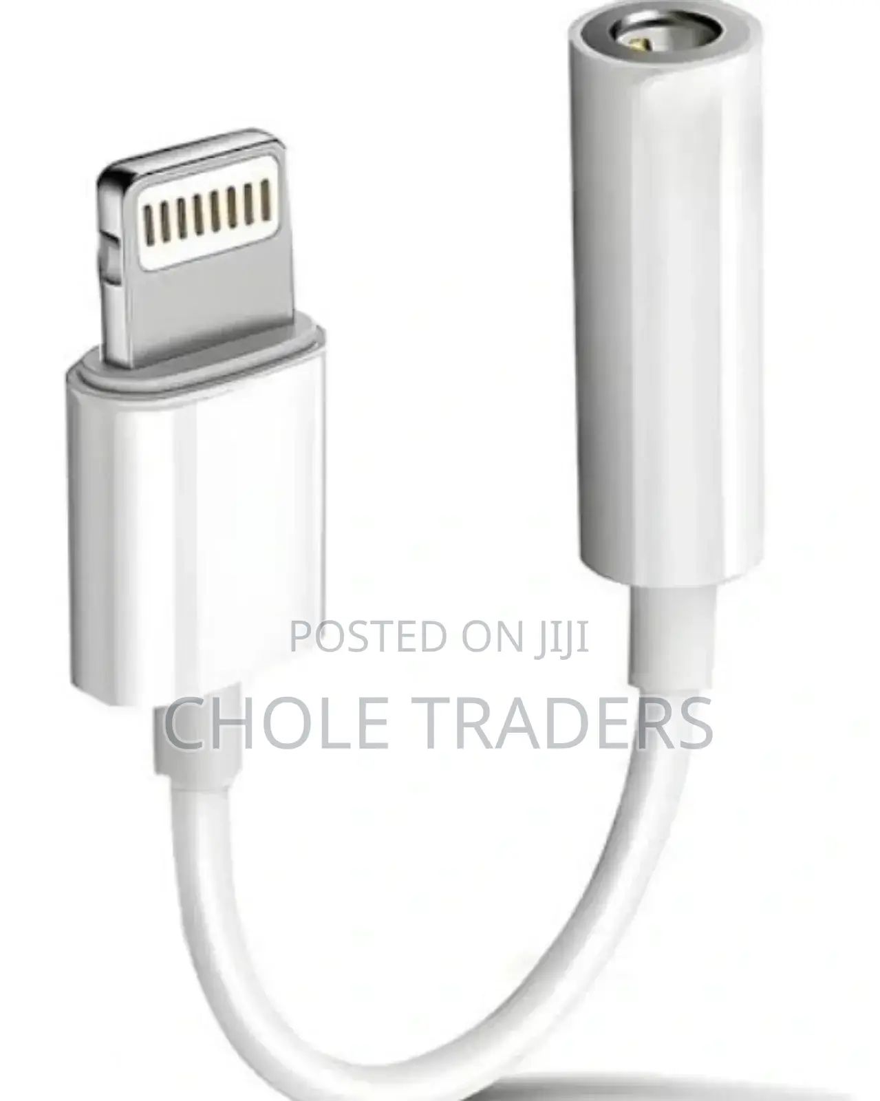 iPhone to Aux Adapter / Lightning to 3.5mm Headphone Jack