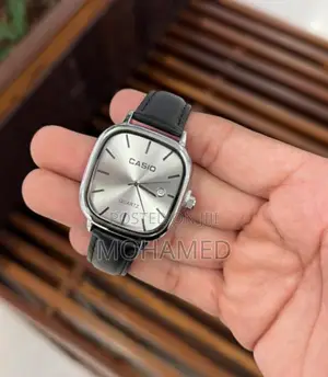 Casio Fashion Watch/Saa