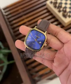 Casio Fashion Watch/Saa