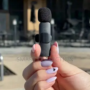 Double Wireless Microphone (Type C)