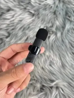 Double Wireless Microphone (Type C)