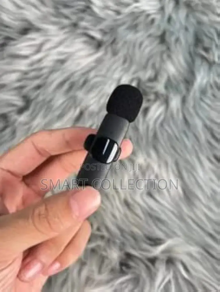 Double Wireless Microphone (Type C)