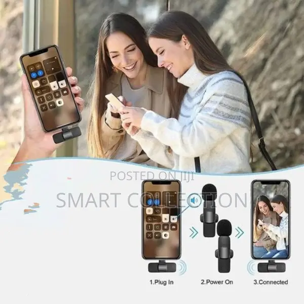 Double Wireless Microphone (Type C)