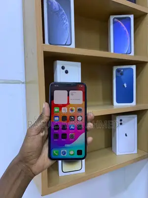 Apple iPhone 11 Pro Max 256 GB Green