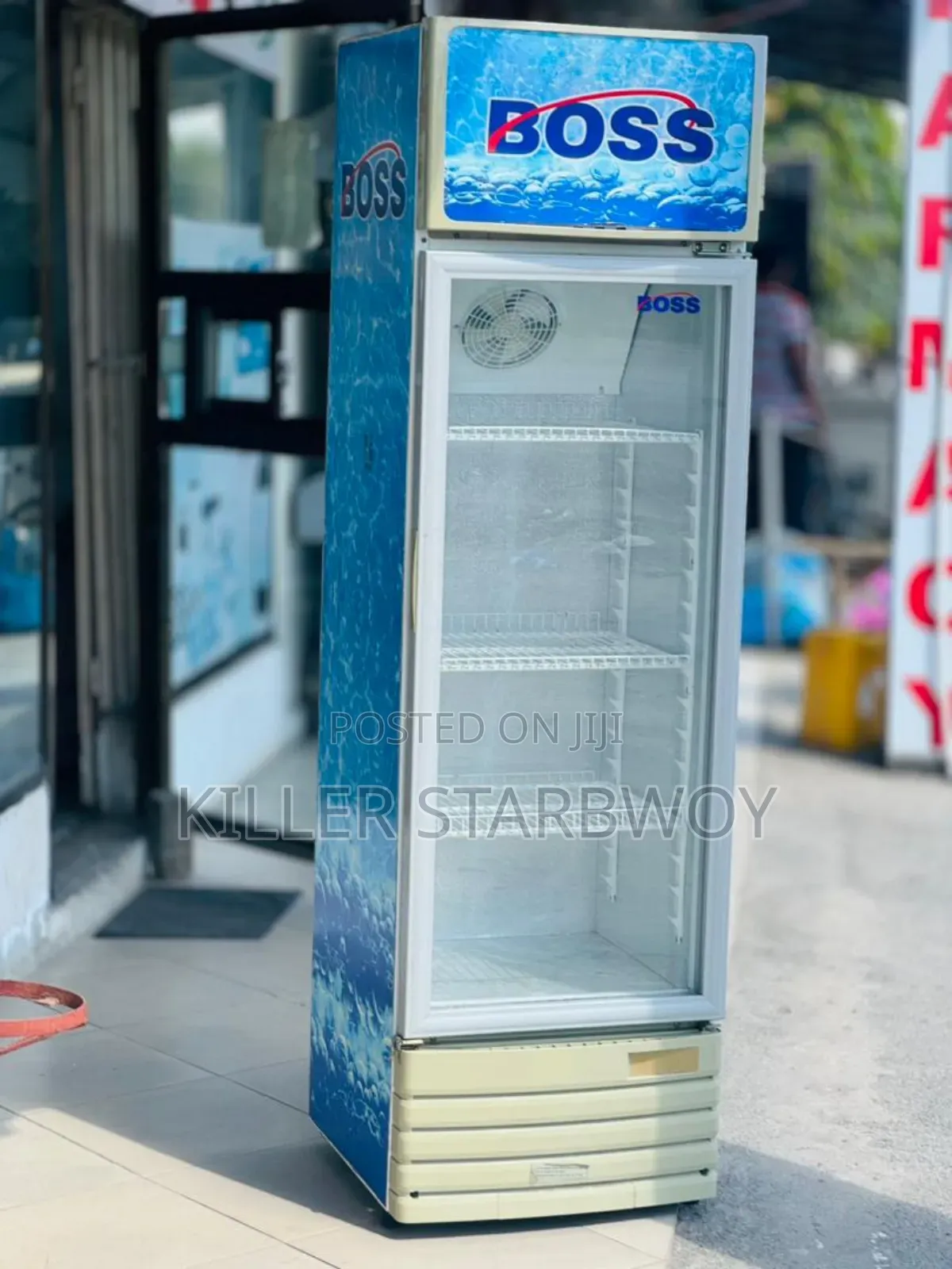 Display Fridgeita 250
