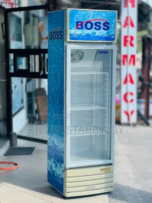 Display Fridgeita 250