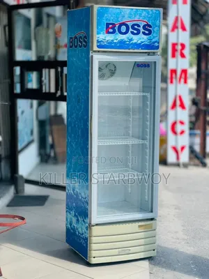 Display Fridgeita 250