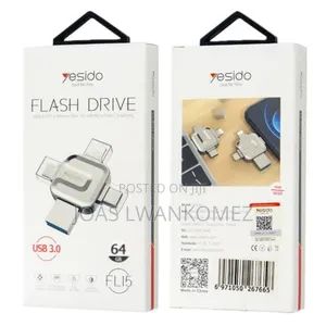 4in 1 Flash Drive.