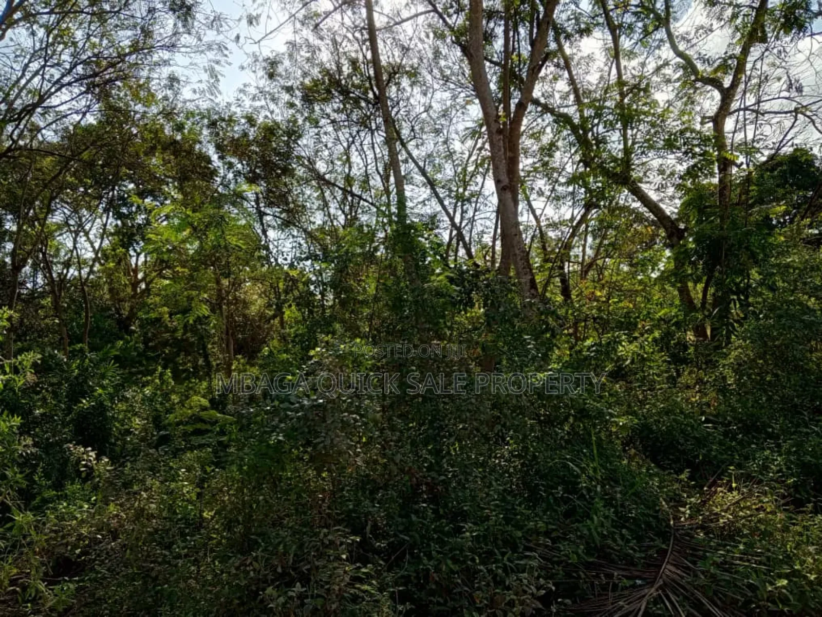 4bdrm House in Kibaha Maili Moja for sale