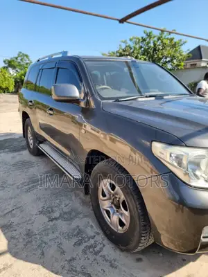 Toyota Land Cruiser 2011 Gray