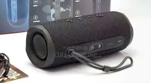 JBL Flip 6 Wireless Speaker