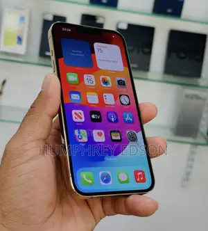 New Apple iPhone 13 Pro Max 256 GB Gold