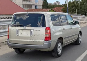 Toyota Succeed 2006 Gold