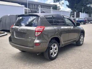 Toyota RAV4 2008 Brown