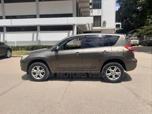 Toyota RAV4 2008 Brown