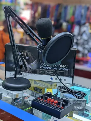 Professional Condenser Microphone