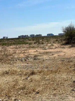 Viwanja Vilivyopimwa Bei Nafuu