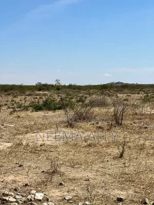 Viwanja Vilivyopimwa Bei Nafuu