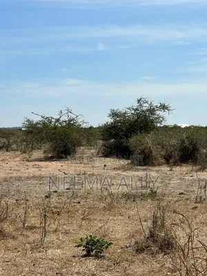 Viwanja Vilivyopimwa Bei Nafuu