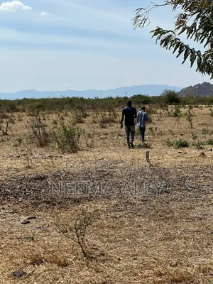 Viwanja Bagamoyo Zinga